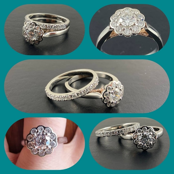 Meet your Posher, Vashti - Picture 3 of 13